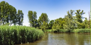 La directive européenne cadre sur l'eau ne sera pas modifiée