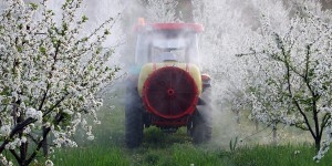 Une consultation sur l'élargissement des interdictions d'usage des pesticides 