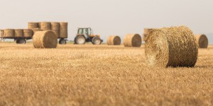 Plan de relance : une accélération de la transition agricole sans grande révolution