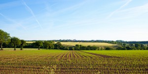 Politique agricole commune : les États membres arrêtent leur position