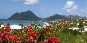 Antilles : alerte sur un ver invasif, qui pourrait menacer la biodiversité des sols
