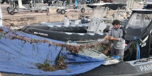 Plus d'un millier d'engins de pêche perdus retrouvés sur la façade méditerranéenne française