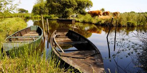 Loire-Bretagne : une vigilance de mise sur les pollutions diffuses et la morphologie des cours d'eau