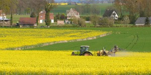 Pesticides : les chartes d'engagement posent une question de constitutionnalité