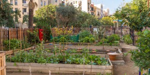 Plan de relance : des appels d'offres pour soutenir les jardins partagés et l'agriculture urbaine