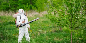 La justice refuse de suspendre le premier arrêté anti-pesticides nouvelle formule