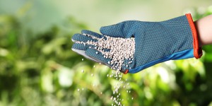 Les engrais de synthèse interdits pour les usages non-agricoles d'ici 2027