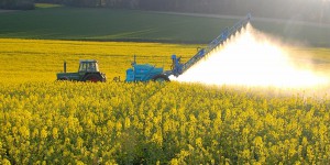 Pesticides : une annulation partielle des textes sur les distances d'épandage attendue