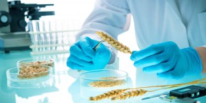 La dissolution du Haut conseil aux biotechnologies prévue dans une ordonnance en consultation publique