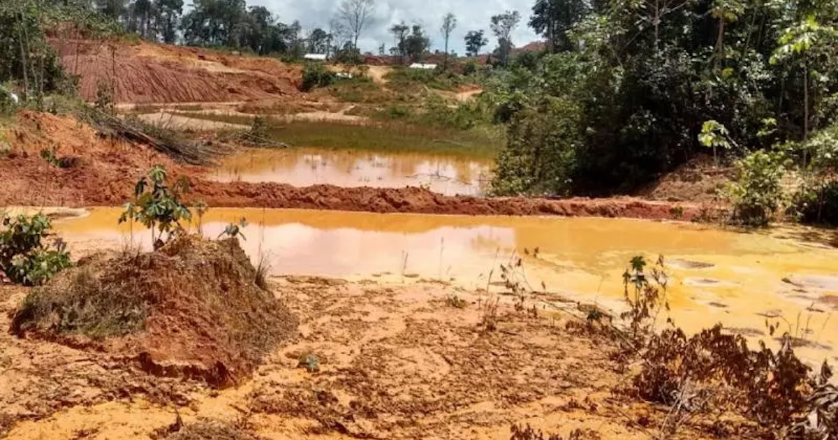 Orpaillage légal en Guyane : la condamnation de la société Gold'or pour pollution des eaux est confirmée