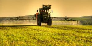 Pesticides : la France ne peut se soustraire aux règles du jeu européennes
