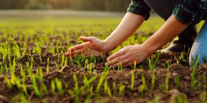 Politique agricole commune : Bruxelles veut assouplir la conditionnalité environnementale
