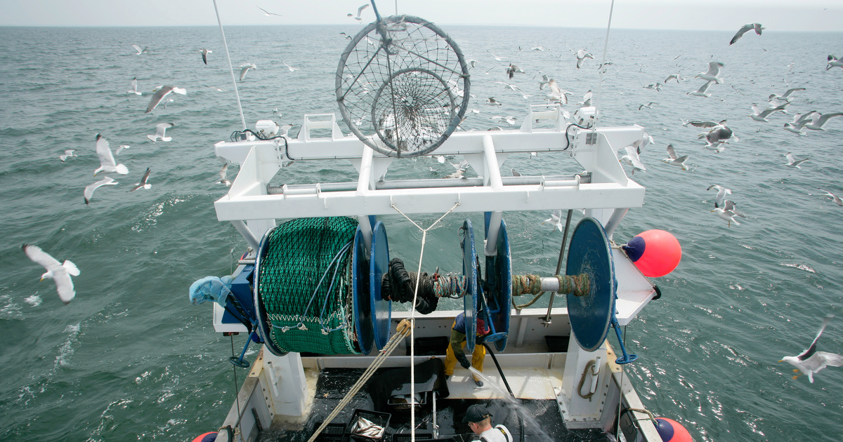 Les techniques de pêche les plus destructrices sévissent encore dans les aires marines protégées