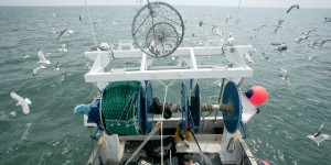 Les techniques de pêche les plus destructrices sévissent encore dans les aires marines protégées