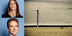 Clarifications par le Conseil d'État sur l'Ae et l'évaluation environnementale des PLU et des projets éoliens