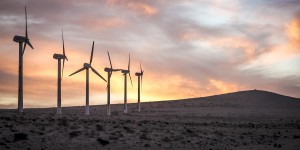 La dérogation Espèces protégées invalidée pour un parc éolien à la production modeste