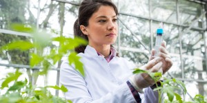 Pesticides : le ministère de l'Agriculture va financer la recherche de nouvelles solutions alternatives
