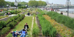 Royal veut accélérer la fin des pesticides dans les espaces verts publics