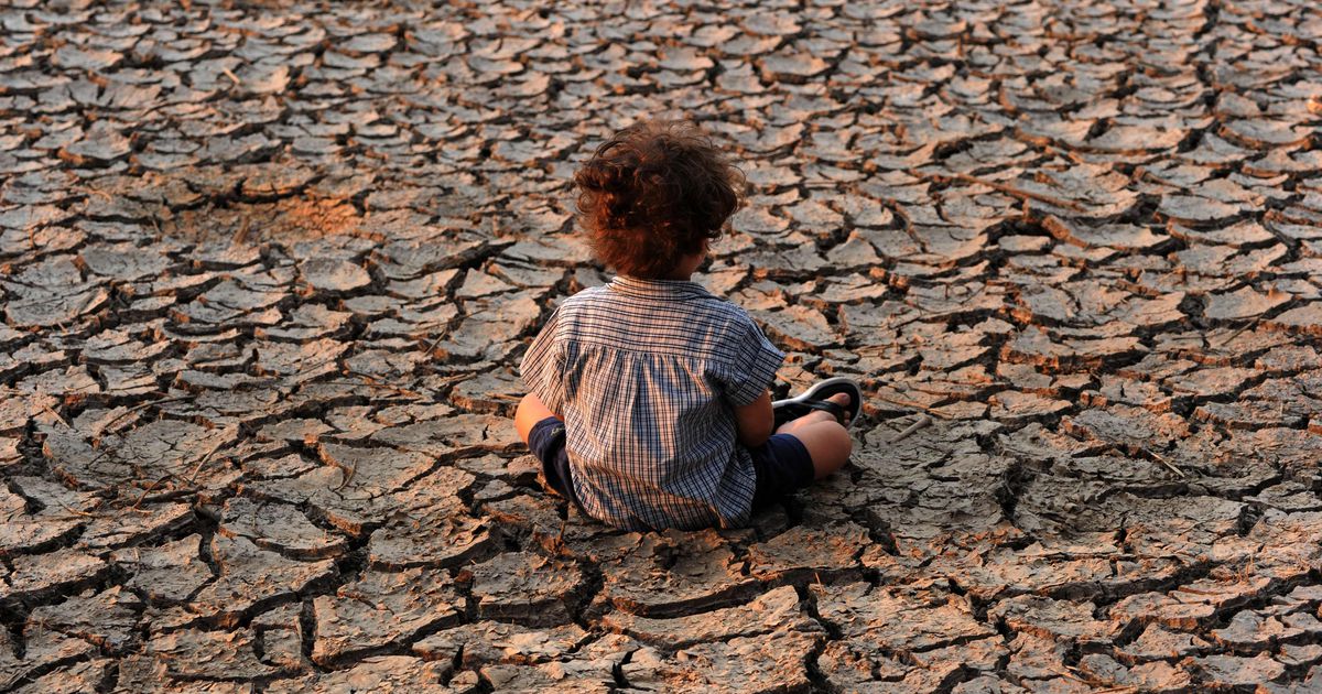 Extinctions, pénurie d’eau, exodes… L’alerte apocalyptique du Giec sur le changement climatique