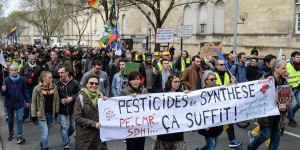 Cancers, Parkinson... L’Inserm pointe des liens vraisemblables entre les pesticides et six maladies