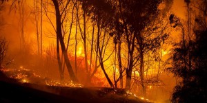 A Chypre, «le pire incendie depuis 1974»