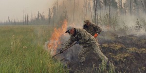 La saison des incendies ravage la Sibérie