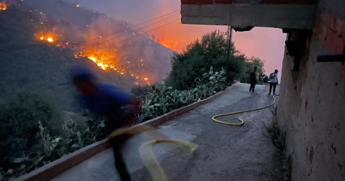 Incendies en Algérie : la France dépêche deux Canadairs, le Maroc propose son aide