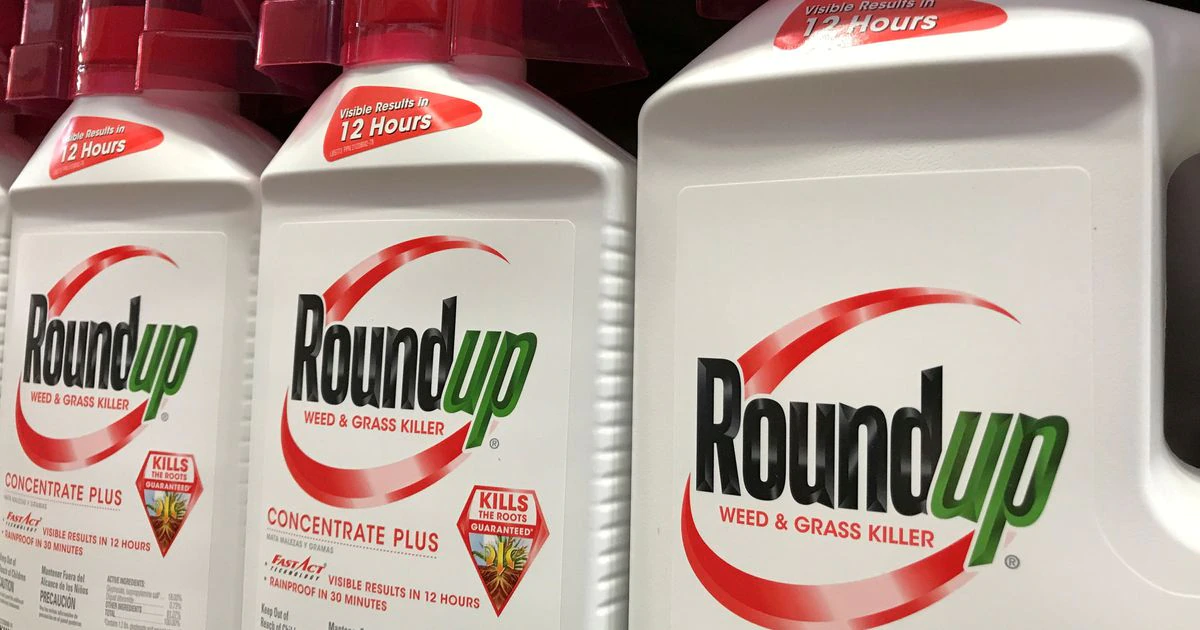 Roundup : Bayer-Monsanto se prépare à perdre de nouveaux procès liés au glyphosate