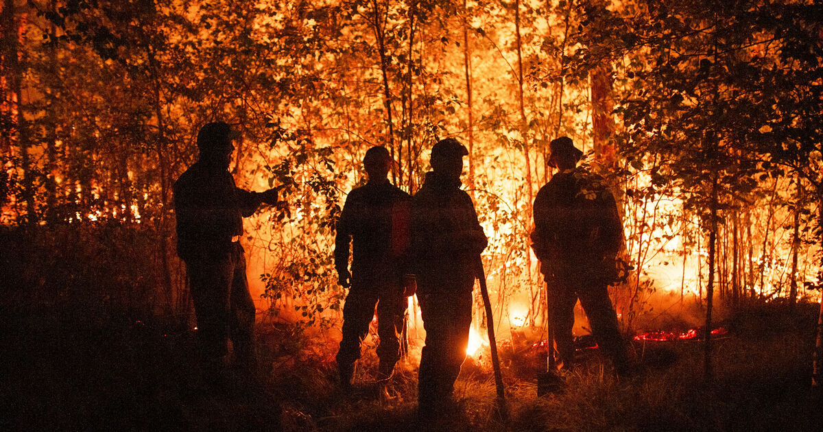 De la Californie à la Sibérie, les incendies de l’été ont provoqué un record d’émissions de CO2 