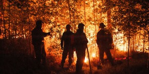 De la Californie à la Sibérie, les incendies de l’été ont provoqué un record d’émissions de CO2 
