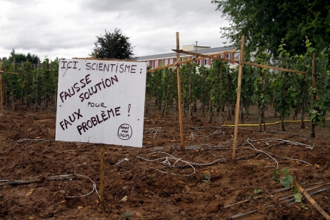 Colmar : 60 faucheurs de vignes OGM en procès