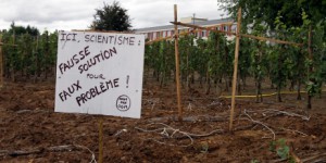Colmar : 60 faucheurs de vignes OGM en procès