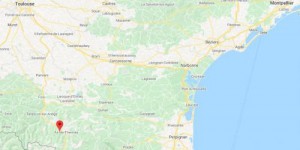 Ariège : des dizaines de chênes centenaires abattus illégalement, les propriétaires dénoncent 'un massacre à la tronçonneuse'
