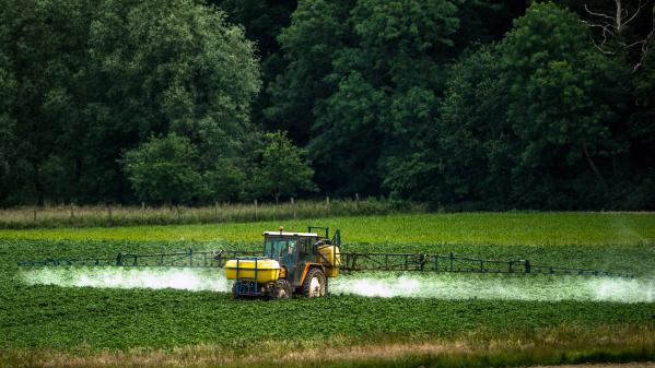 Belgique : des chercheurs inventent une alternative au glyphosate à base d’huiles essentielles