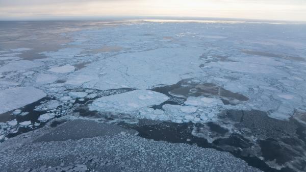 Réchauffement climatique : un immense iceberg s'est détaché de la banquise de Ronne