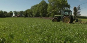Agriculture : la nouvelle PAC, un coup dur pour les exploitants bio