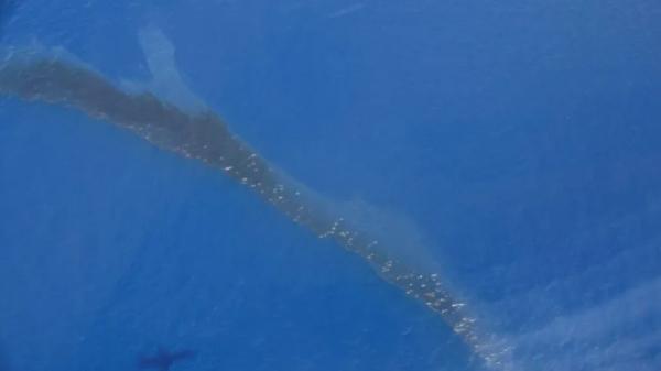 Corse : une nappe d'hydrocarbures de 35 km de long repérée sur la côte est, le plan Polmar déclenché