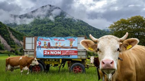 Environnement : les Suisses rejettent l'interdiction des pesticides de synthèse