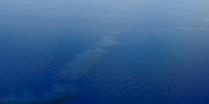 Pollution au large de la Corse : 'Ces hydrocarbures lourds peuvent plonger, ressortir, se disperser, donc il faut qu'on soit vigilant'