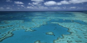 L'Unesco renonce pour l'instant à placer la Grande Barrière de corail sur la liste des sites en péril