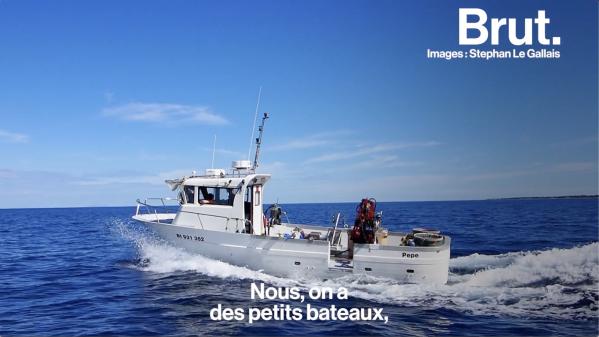 VIDEO. En Corse, ce pêcheur prône une pêche 'durable' et 'responsable'