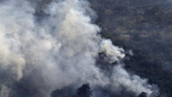 Environnement : comment se régénère la nature après un incendie ?