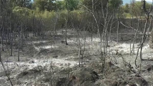 Var : le massif des Maures a été dévasté par les incendies