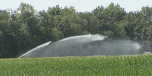 Gaspillage de l'eau : les agriculteurs dans le rouge selon la Cour des comptes européenne
