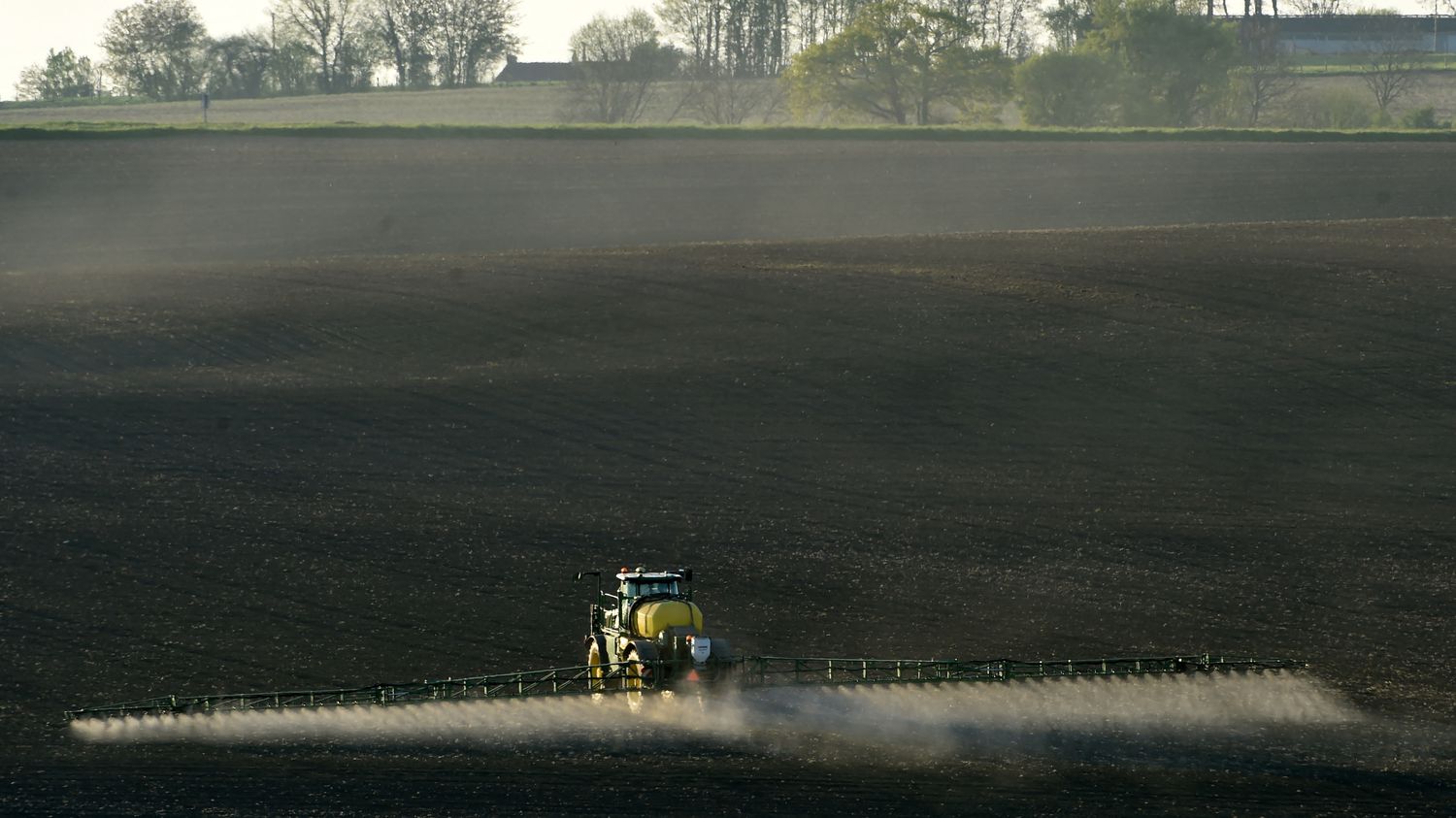 Pesticides : deux ONG lancent un recours accusant la France de 'manquement' dans la protection de la biodiversité