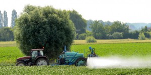 'Empoisonné aux pesticides, j’ai été rejeté par la profession'