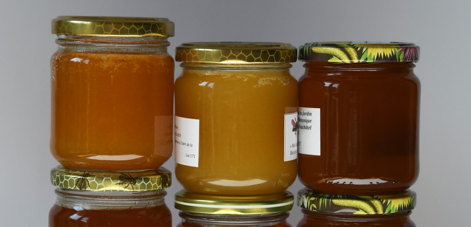 Les pesticides tueurs d'abeilles sont présents dans quasiment tous les miels