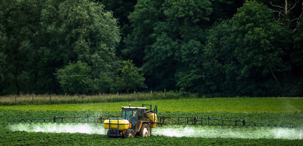 Glyphosate : la France refusera la reconduction au-delà de trois ans 