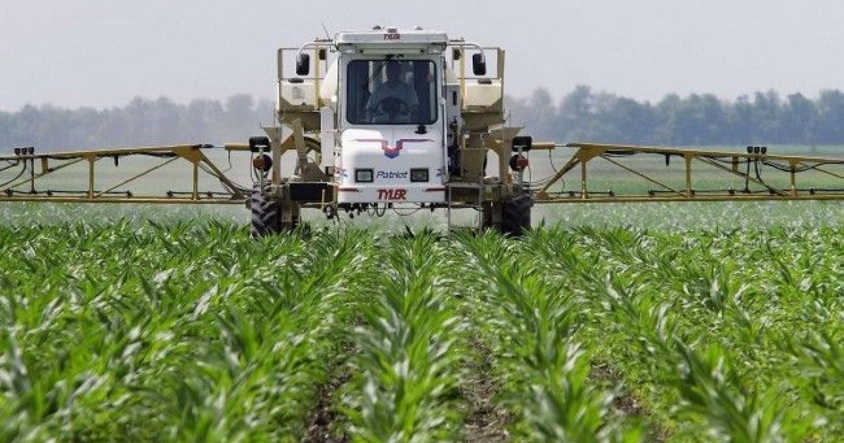 Glyphosate : comment l'agence sanitaire européenne a copié-collé Monsanto