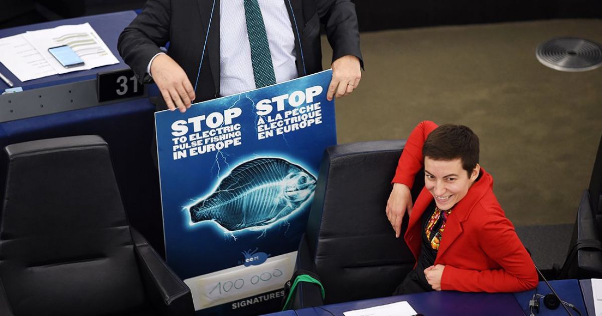 Le Parlement européen demande l'interdiction de la pêche électrique